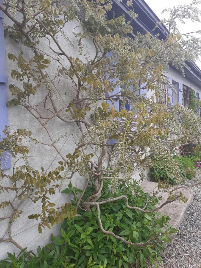 Escape To The Country Villa Westport Luaran gambar