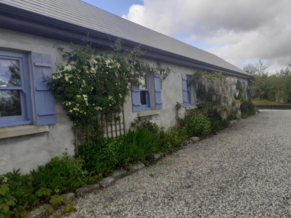 Escape To The Country Villa Westport Luaran gambar